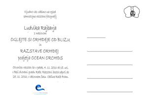 Mesec orhidej v Račah